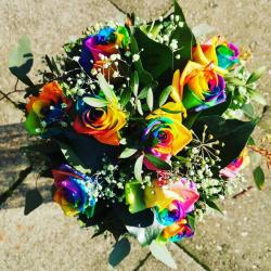 regenbogen rosen