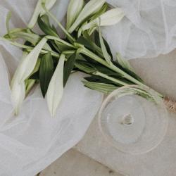 After_Wedding_Shooting_Münsterland_Schloss Nordkirchen_klein_503