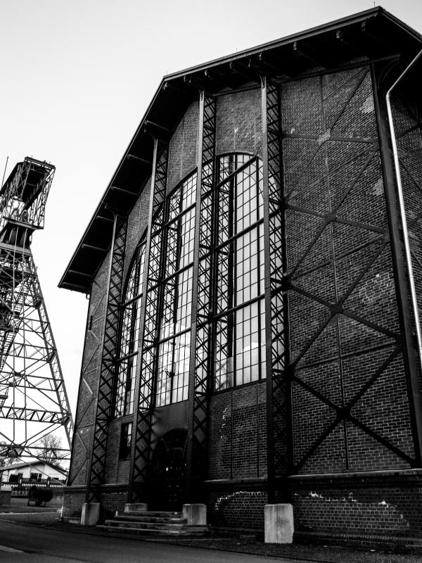 pexels-jakob-schlothane-183270347-12105646