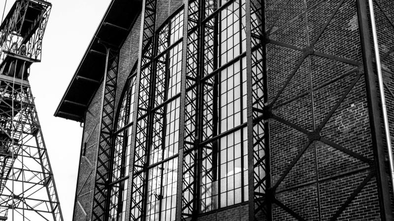 pexels-jakob-schlothane-183270347-12105646