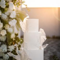 shutterstock_2504869469-2
