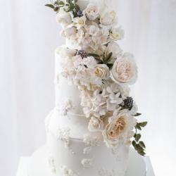 shutterstock_1091609765-2