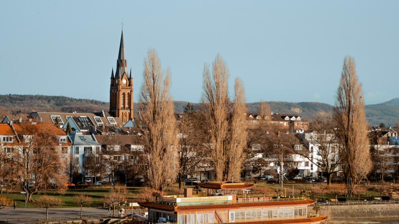 A couple on their wedding day in Bonn