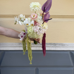 Studio Floral by almar