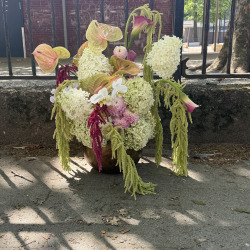 Studio Floral by almar