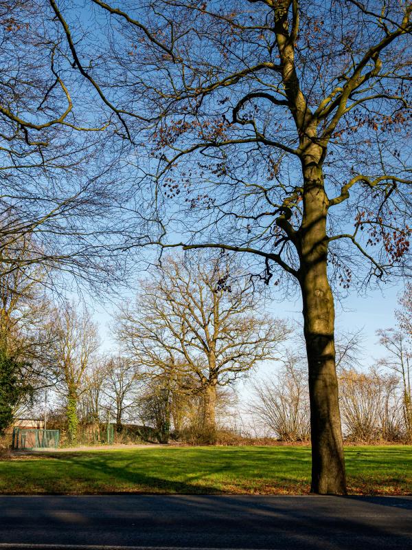 pexels-strannik-sk-36148550