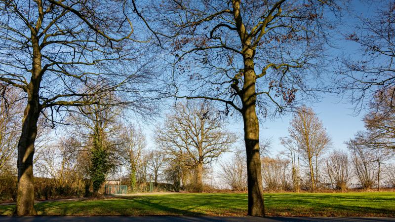 pexels-strannik-sk-36148550