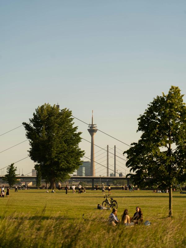 pexels-nick-gorniok-495871763-17922151