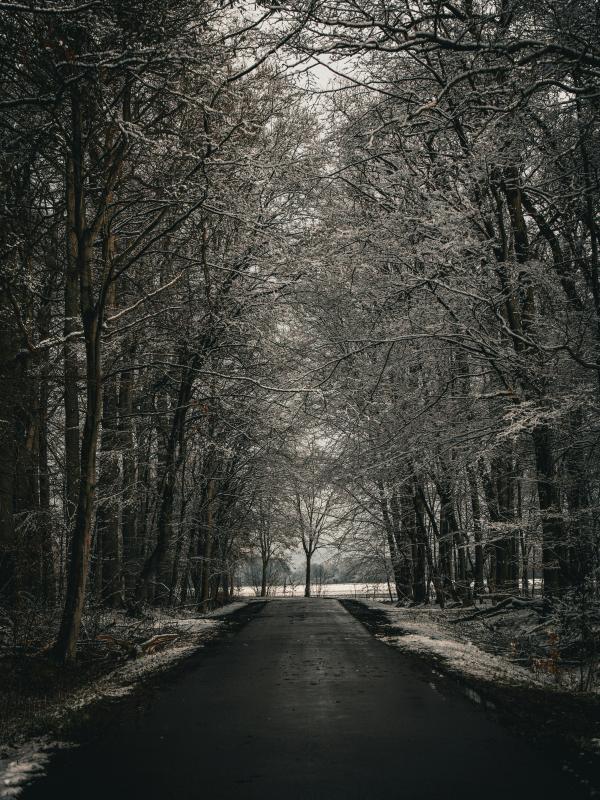 pexels-abstracts-photo-261358487-18702187