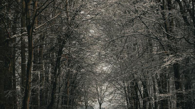 pexels-abstracts-photo-261358487-18702187